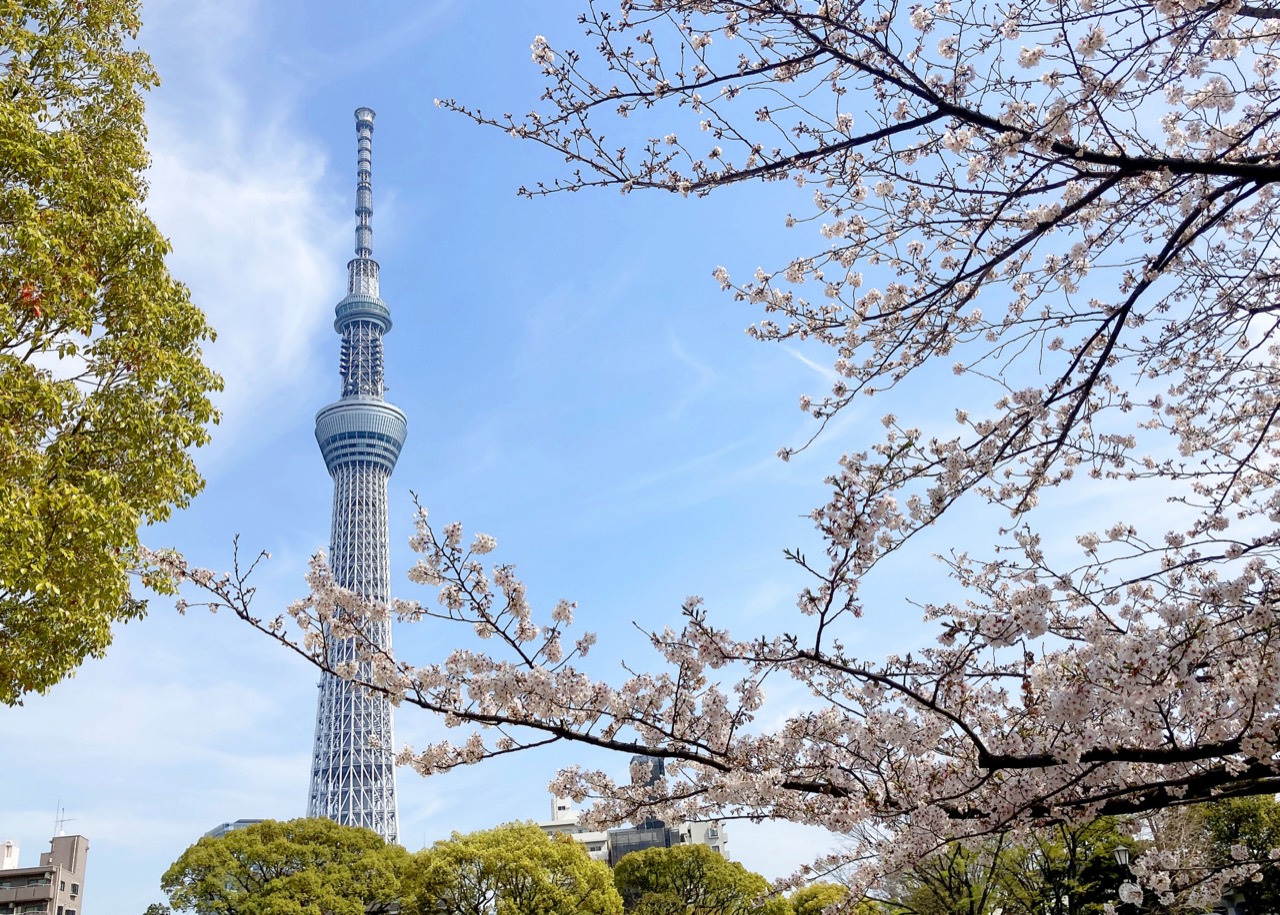7年前の卒業生が会いに来てくれました!