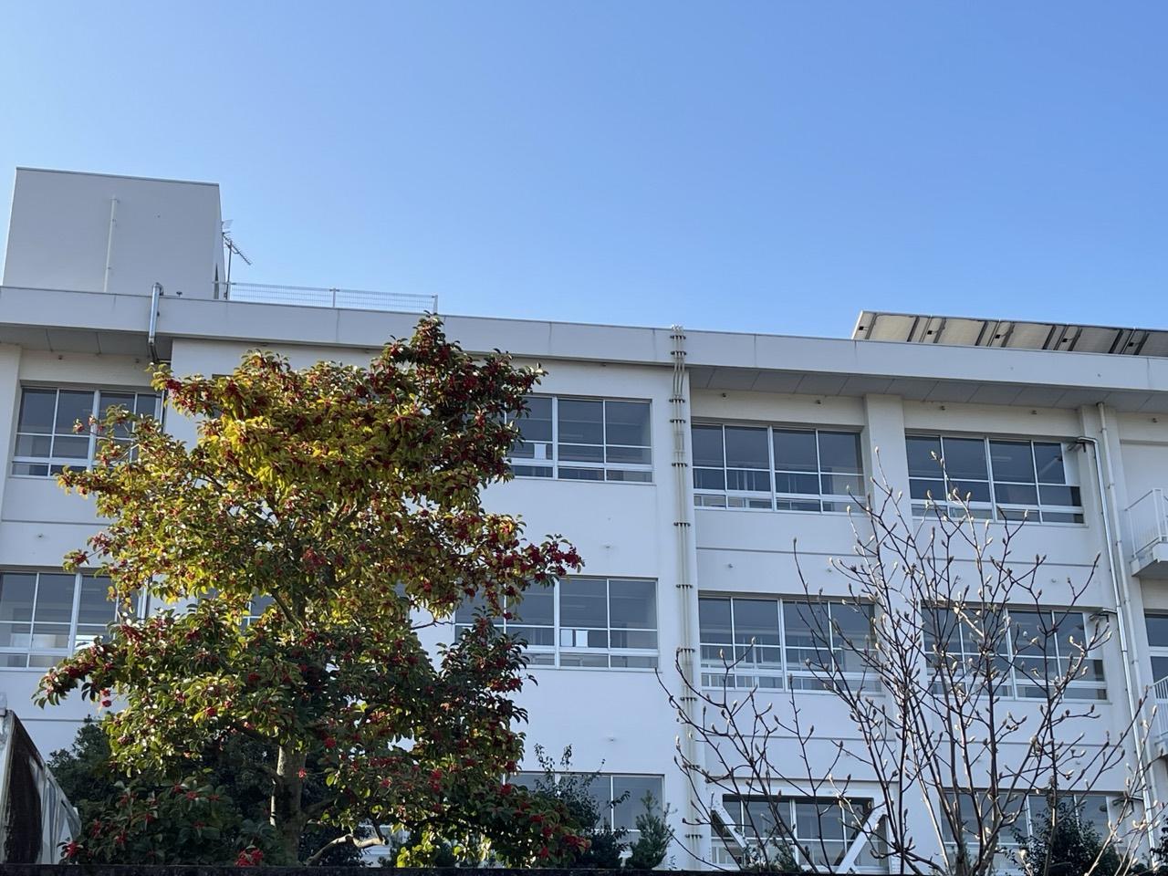 高校見学が始まります！！　（２）