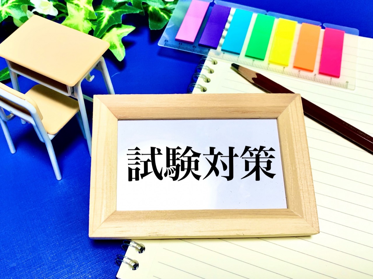 定期テスト対策【１日特訓】