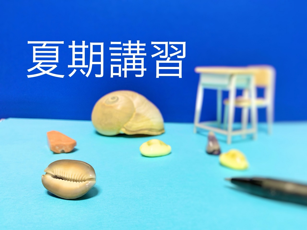 夏期講習が終わります