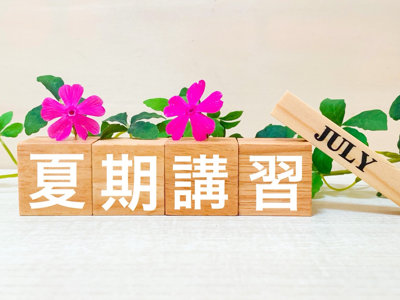 夏期講習の成果（受講生の感想）